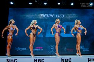 FIGURE +163